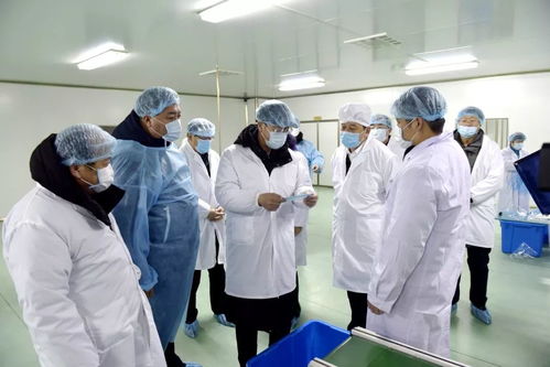 省委常委 常務(wù)副省長吳靖平深入輝南縣醫(yī)用防護(hù)用品生產(chǎn)企業(yè)進(jìn)行調(diào)研